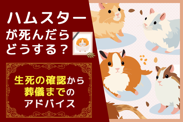 hamster-pass-away