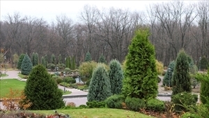 死後事務委任契約とお墓